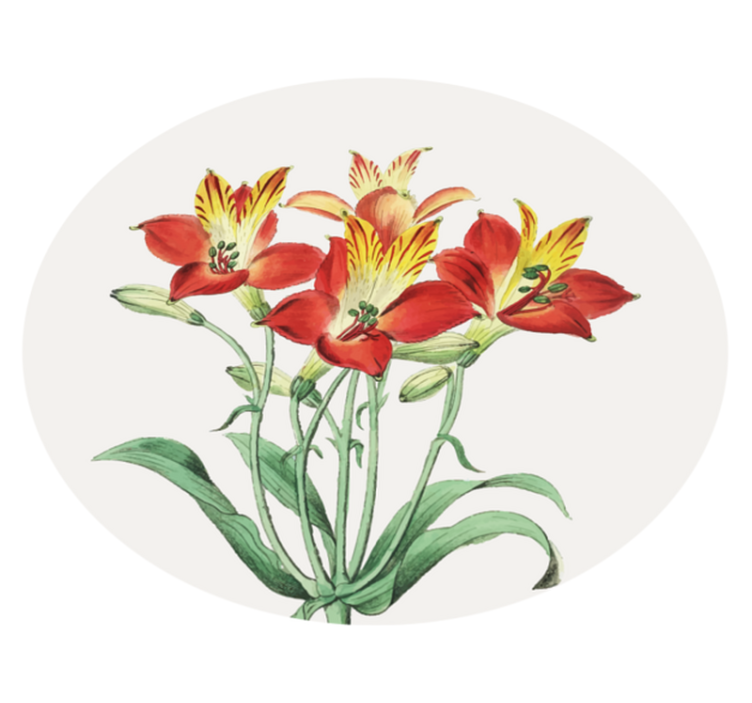 Lively Red Blossoms vinyl rug flowers - TenStickers