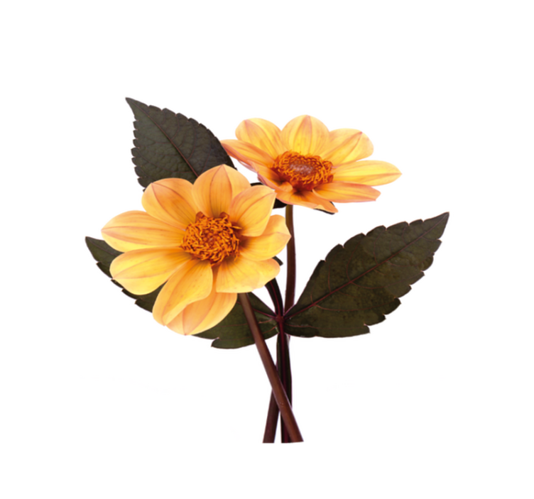 Lively Bloom Composition vinyl rug flowers - TenStickers