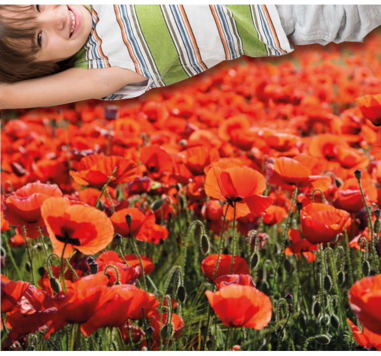 Vibrant Red Poppies vinyl rug flowers - TenStickers