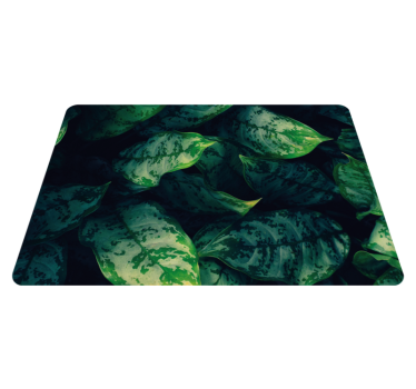 Vinyl rug flowers maranta leaves - TenStickers