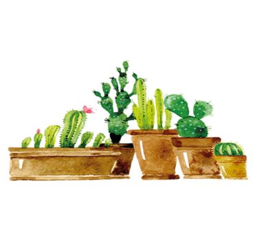 Vinyl rug flowers decorative cactus home garden - TenStickers