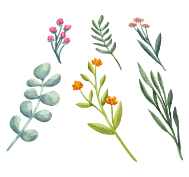 Vinyl rug flowers with plant branches design - TenStickers