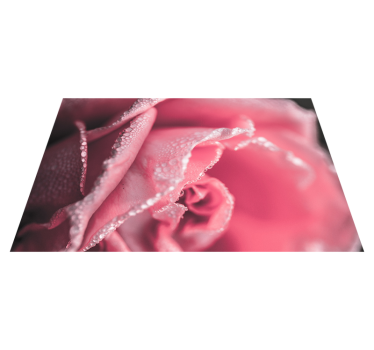 pink rose vinyl dining room rug - TenStickers