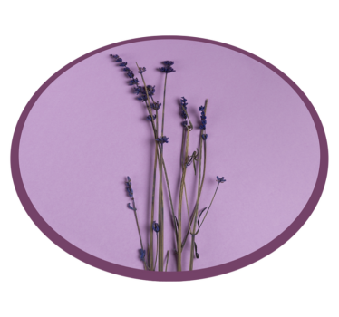 Round simplistic lavender flower rug - TenStickers