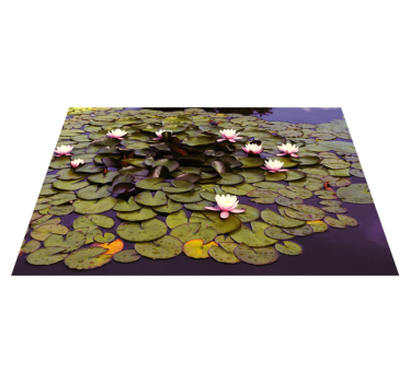 Lily Pond Beauty vinyl rug flowers - TenStickers