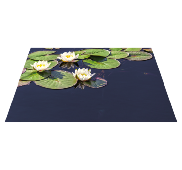 Water Lily Emblem vinyl rug flowers - TenStickers