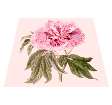 Peony white rectangular flower vinyl rug - TenStickers