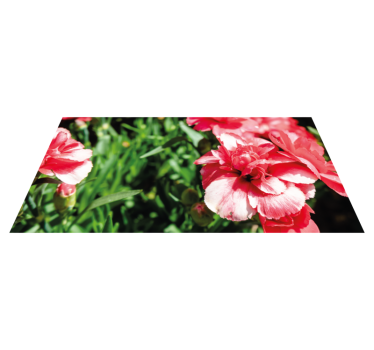 Pink blooms and grass vinyl rug flowers - TenStickers