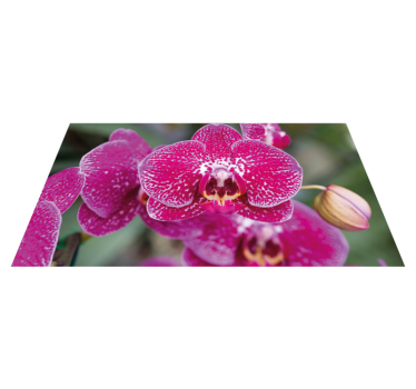 Vibrant Orchid Blooms vinyl rug flowers - TenStickers