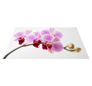 Pink orchid design vinyl rug flowers - TenStickers