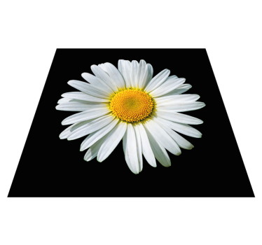 Black and white daisy flower flower rug - TenStickers
