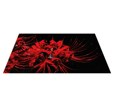 Red Floral Burst vinyl rug flowers - TenStickers