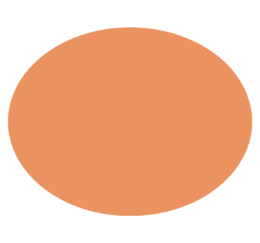 "Apricot Crush" circular vinyl rug - TenStickers