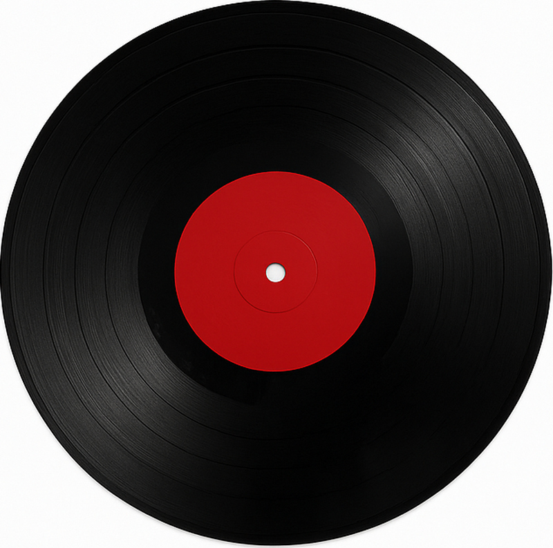 Large Vinyl Disc dining room vinyl rug - TenStickers