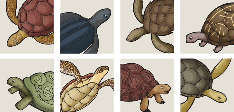 Animal vinyl rug with turtle designs - TenStickers