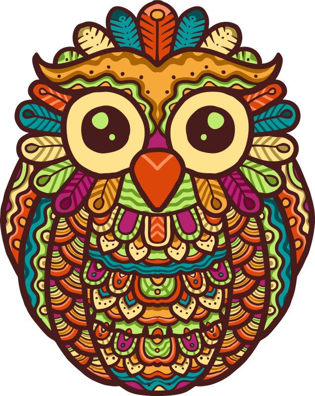 Animal vinyl rug vibrant owl design - TenStickers