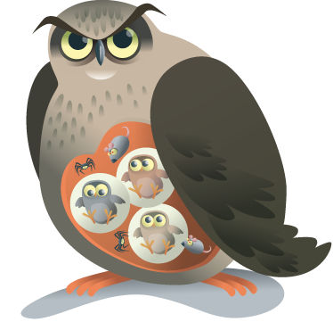 Animal vinyl rug mother owl - TenStickers