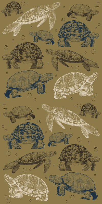 Beige background turtles animal vinyl rug - TenStickers