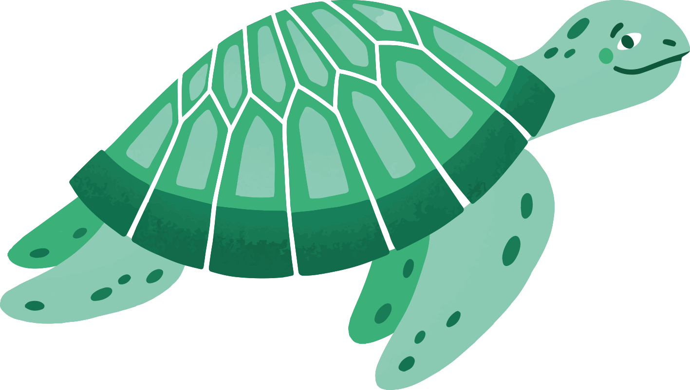 Animal vinyl rug playful turtle design - TenStickers