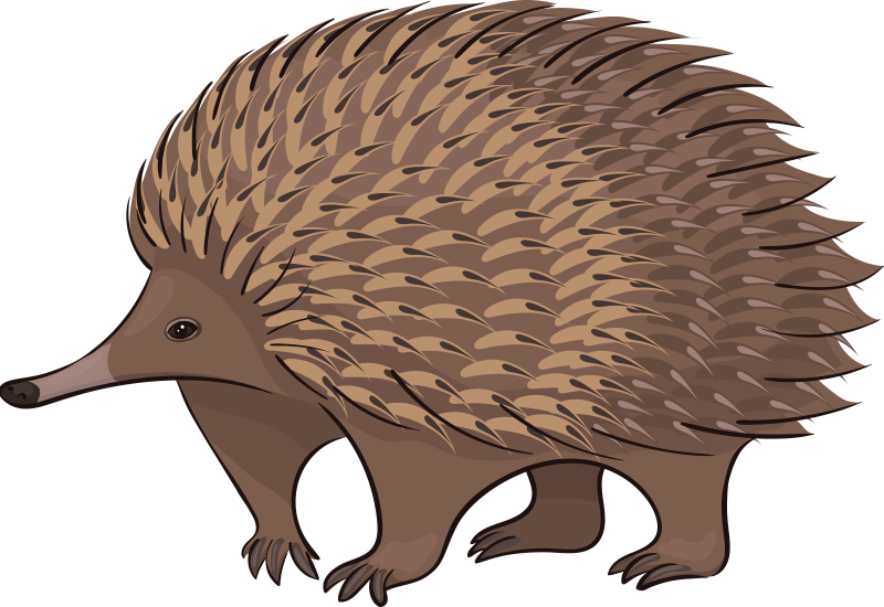 Animal vinyl rug friendly hedgehog design - TenStickers