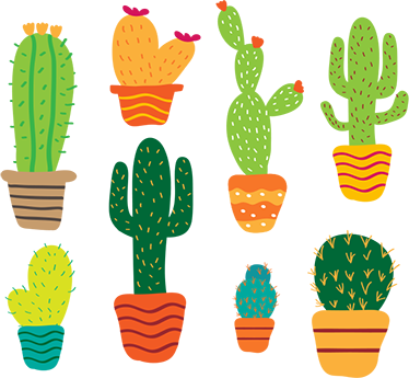 Vinyl rug flowers colorful cactus set - TenStickers