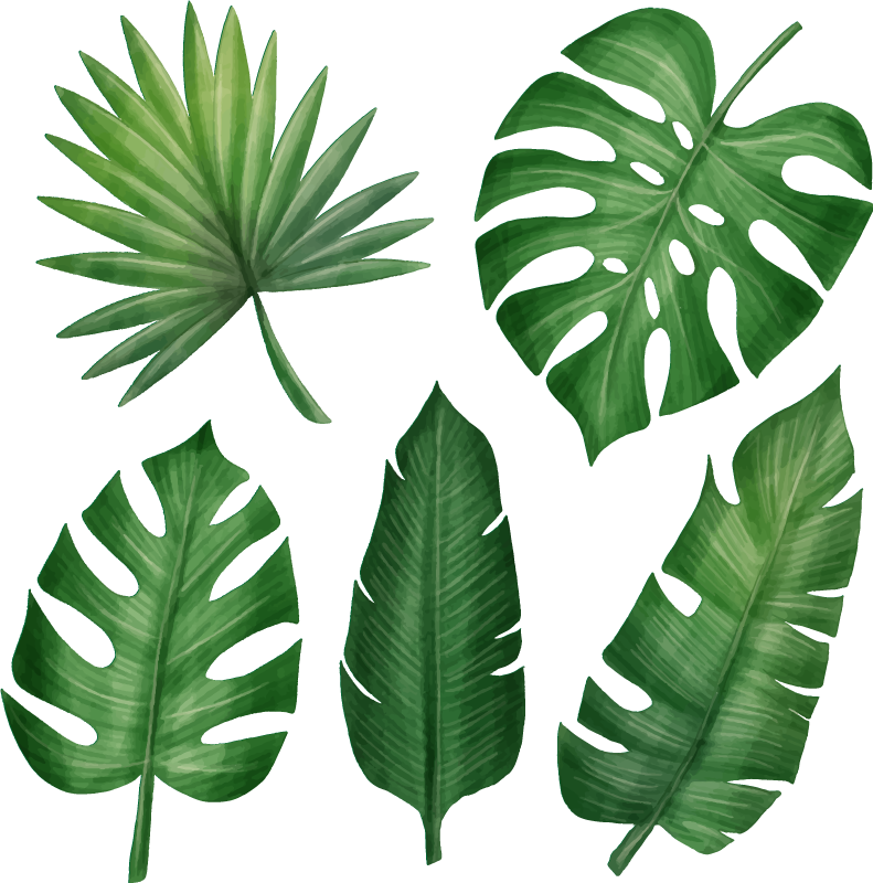 Vinyl rug flowers realistic tropical leaf collection - TenStickers