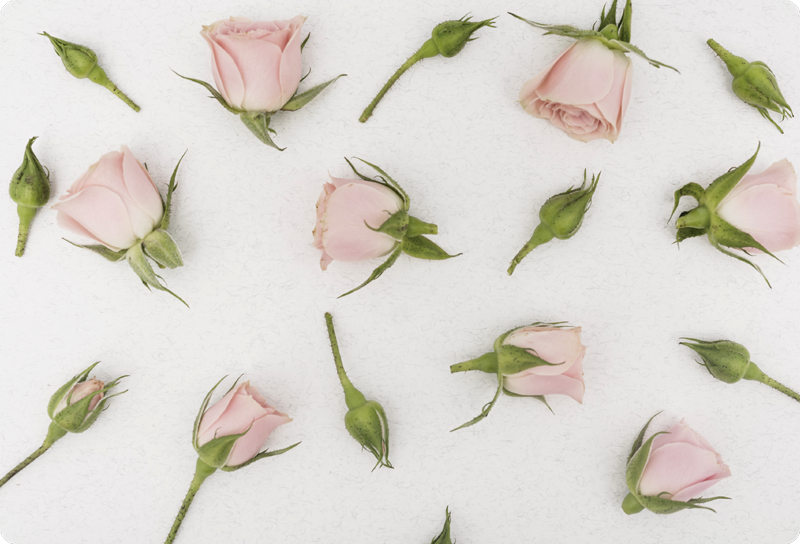 Vinyl rug flowers romantic spring blooms - TenStickers