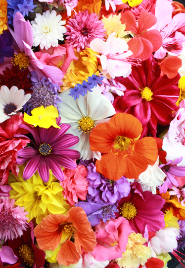 Vinyl rug flowers with a variety of colorful blooms - TenStickers