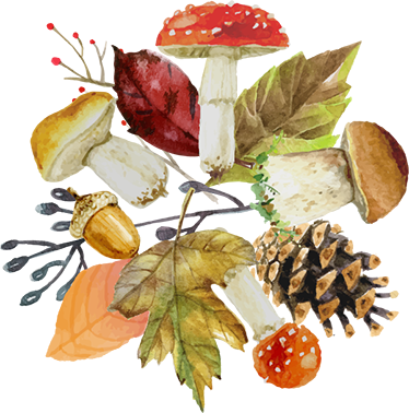 Vinyl rug flowers autumn accents - TenStickers
