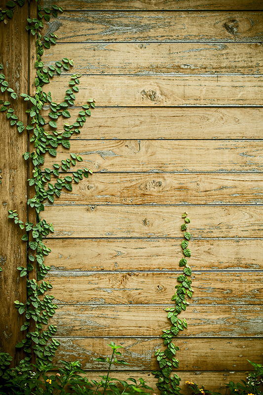 Vinyl rug flowers vines on wood - TenStickers