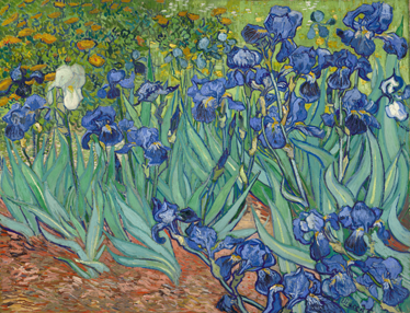 Vinyl rug flowers inspired by van gogh blooms - TenStickers