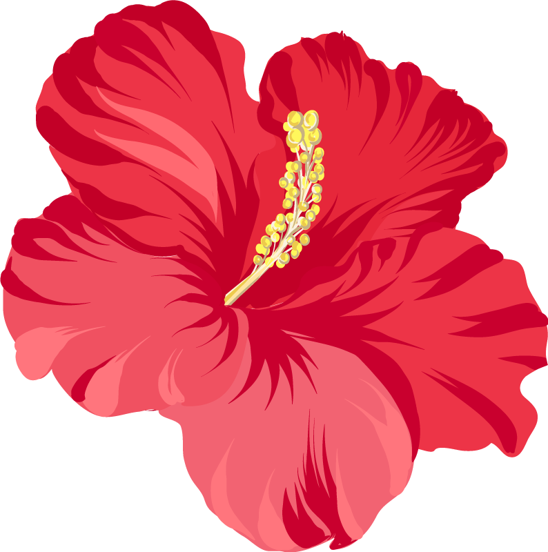 Vinyl rug flowers red hibiscus flower set - TenStickers