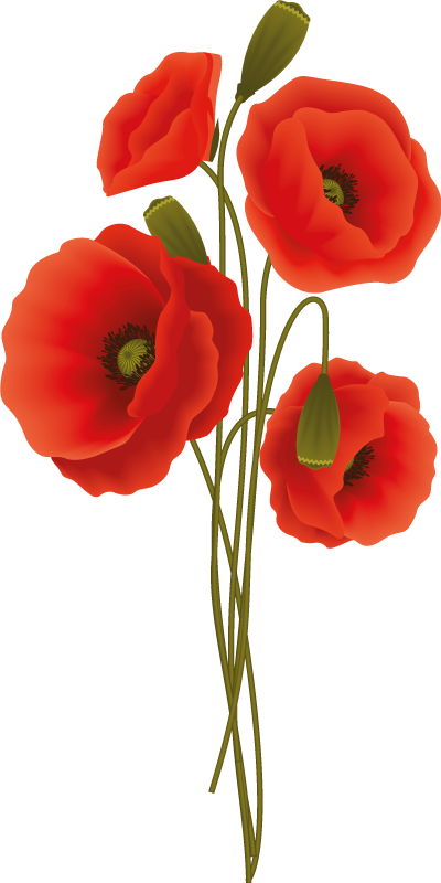 Vinyl rug bathroom delicate poppies design - TenStickers