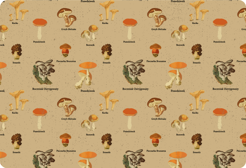 Nature vinyl rug vintage mushroom varieties - TenStickers