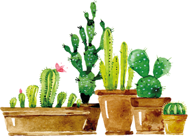 Vinyl rug flowers homemade cactus garden - TenStickers