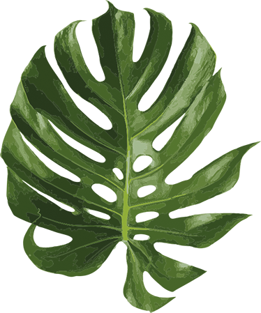 Vinyl rug flowers delicious monstera leaf - TenStickers