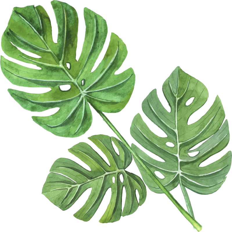 Vinyl rug flowers monstera watercolor leaves - TenStickers