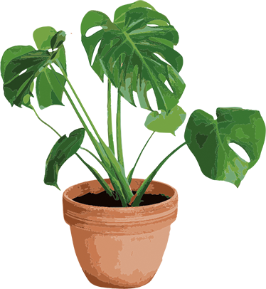 Vinyl rug flowers simple monstera pot - TenStickers