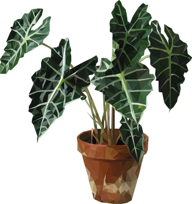 Vinyl rug flowers geometric plant pot - TenStickers