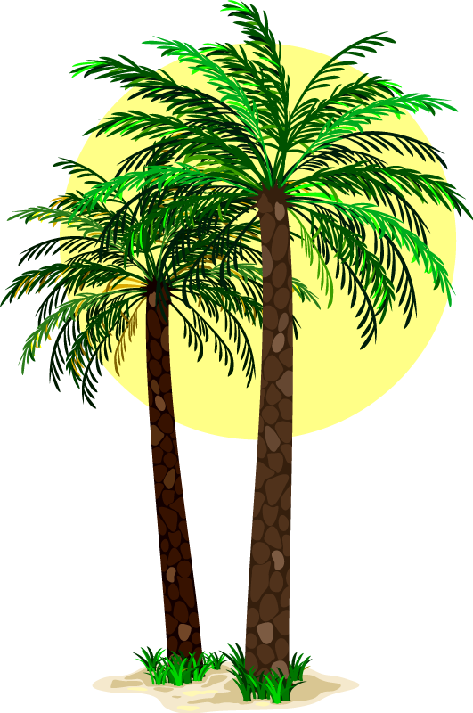 Vinyl rug flowers tropical palm trees - TenStickers