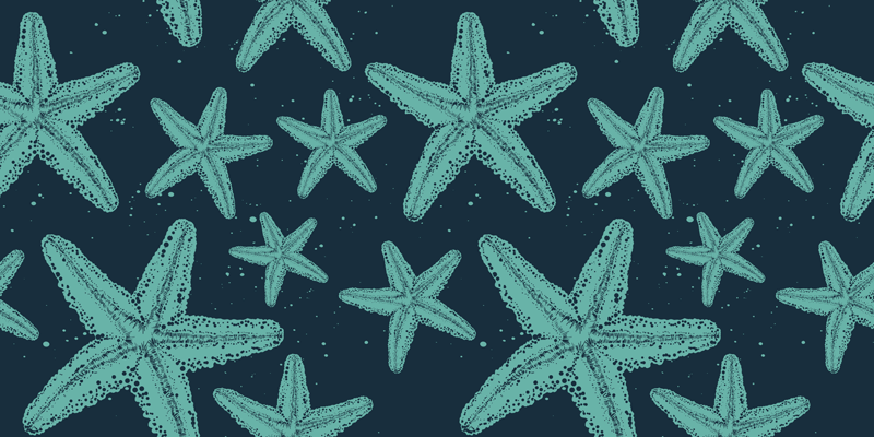 Vinyl rug bathroom starfish bluetones decor - TenStickers