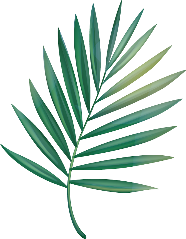Vinyl rug bathroom leaf palm design - TenStickers