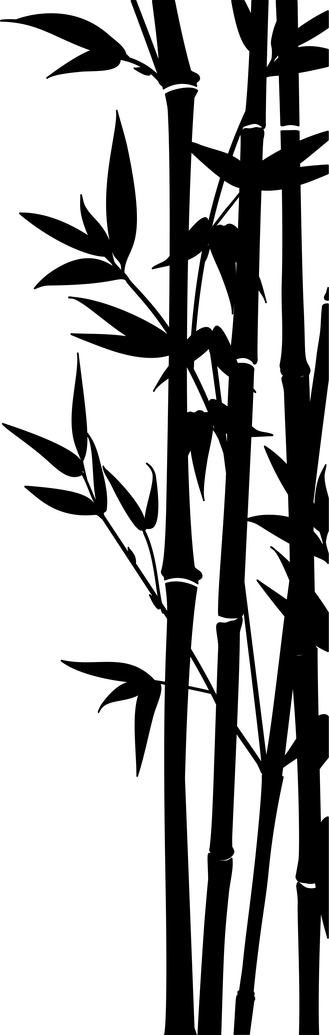 Vinyl rug bathroom bamboo shower screen sticker - TenStickers