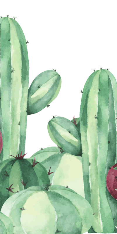 Vinyl rug bathroom cactus plants - TenStickers