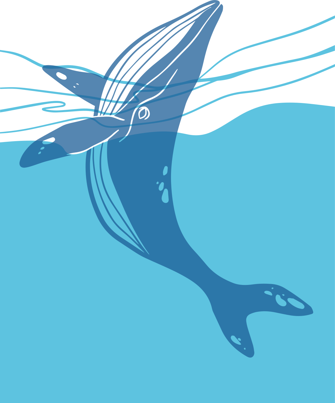 Vinyl rug bathroom whale shower screen decals - TenStickers