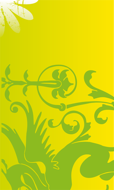 Bedroom vinyl rug green dragon decorative vinyl - TenStickers