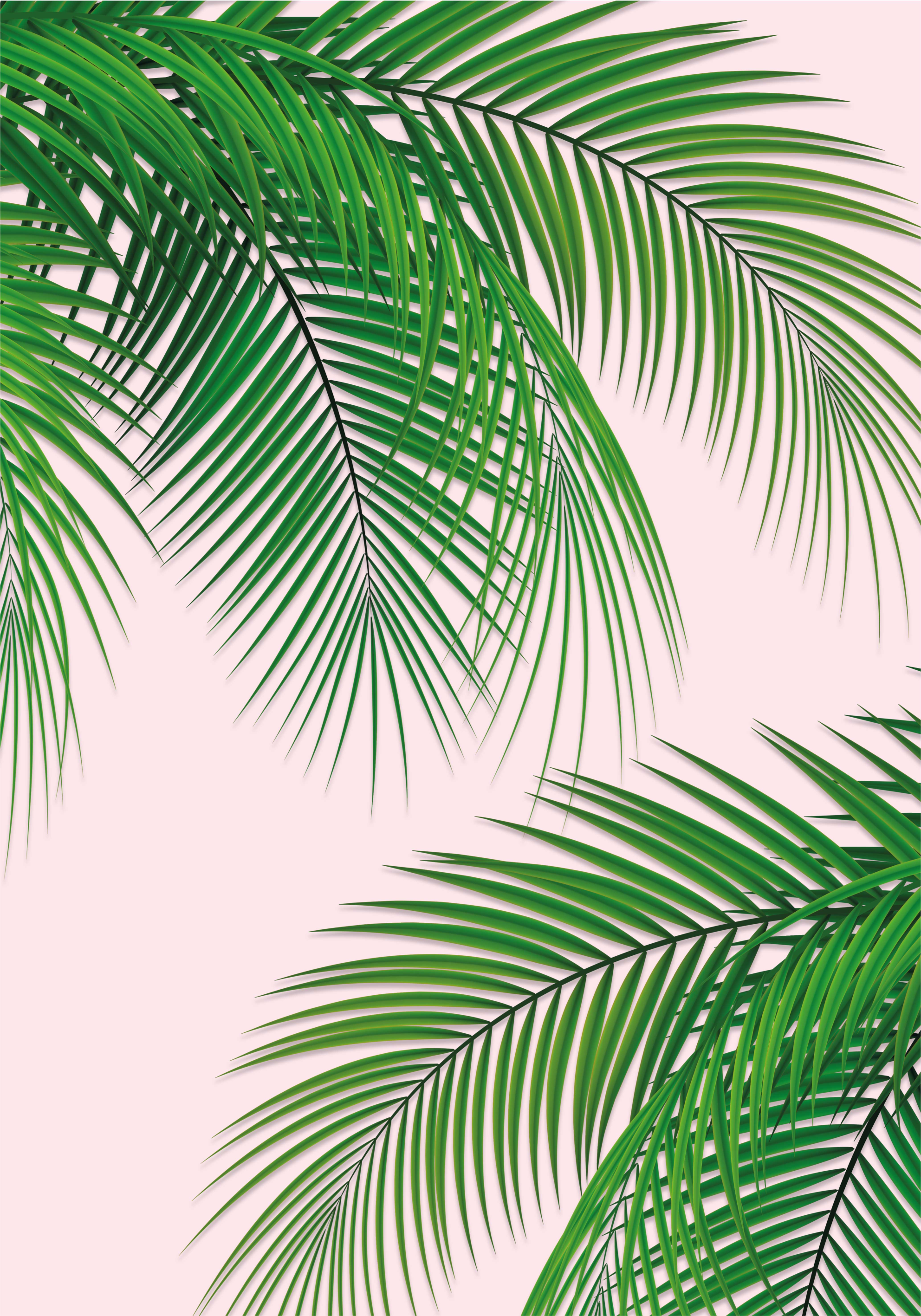 Vinyl rug flowers tropical leaves design - TenStickers