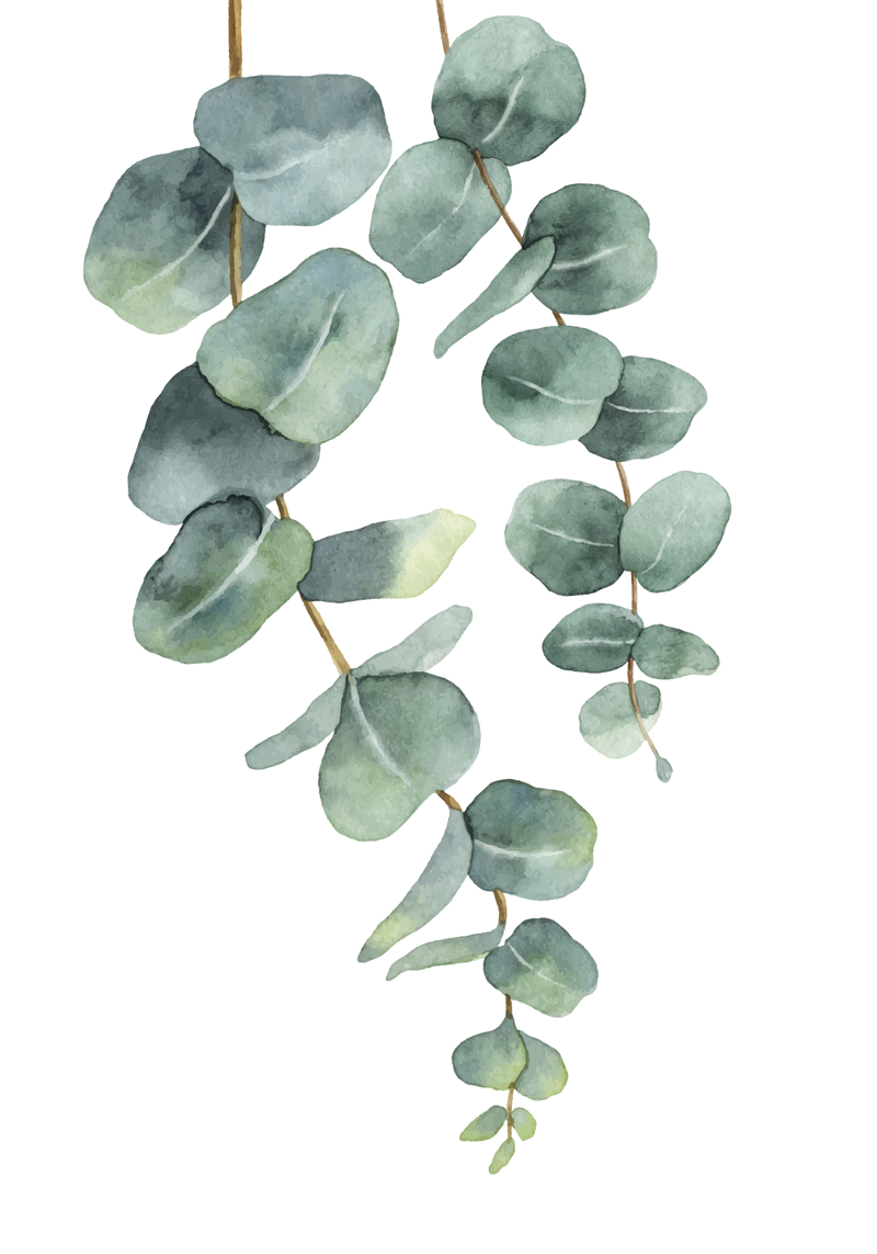 Vinyl rug flowers eucalyptus twigs - TenStickers