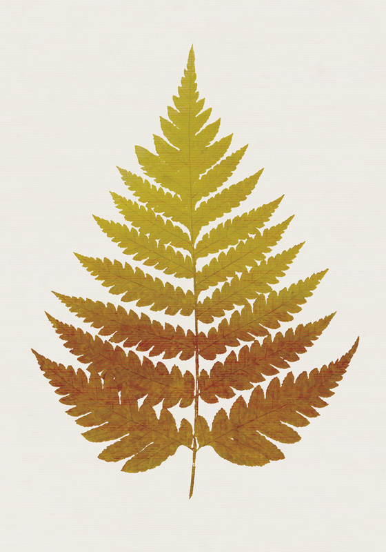 Vinyl rug flowers golden fern leaf - TenStickers