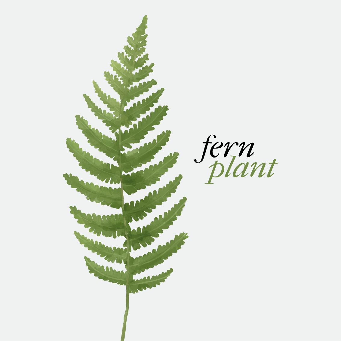 Custom vinyl rug fern plant minimalist design 2 - TenStickers